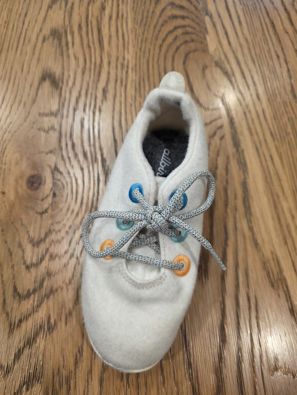 Allbird Shoe (Single Sneaker)